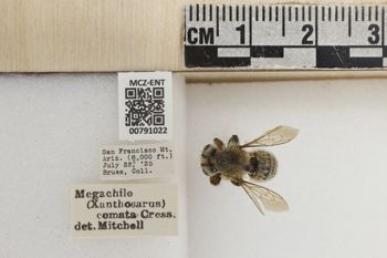 Media type: image;   Entomology 791022 Aspect: Labels